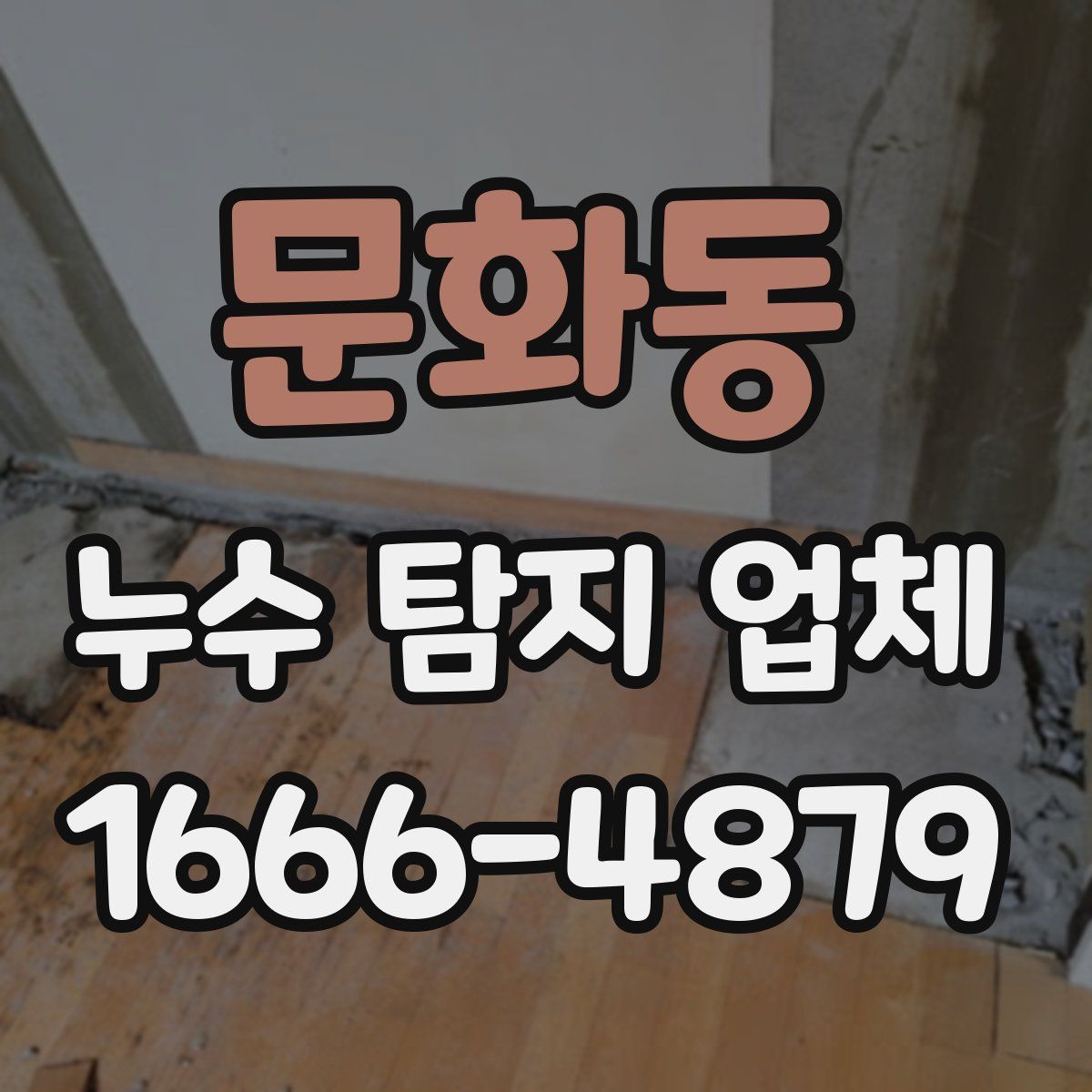 문화동 누수 탐지 업체