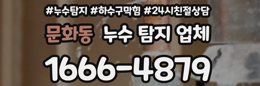 문화동 누수 탐지 업체