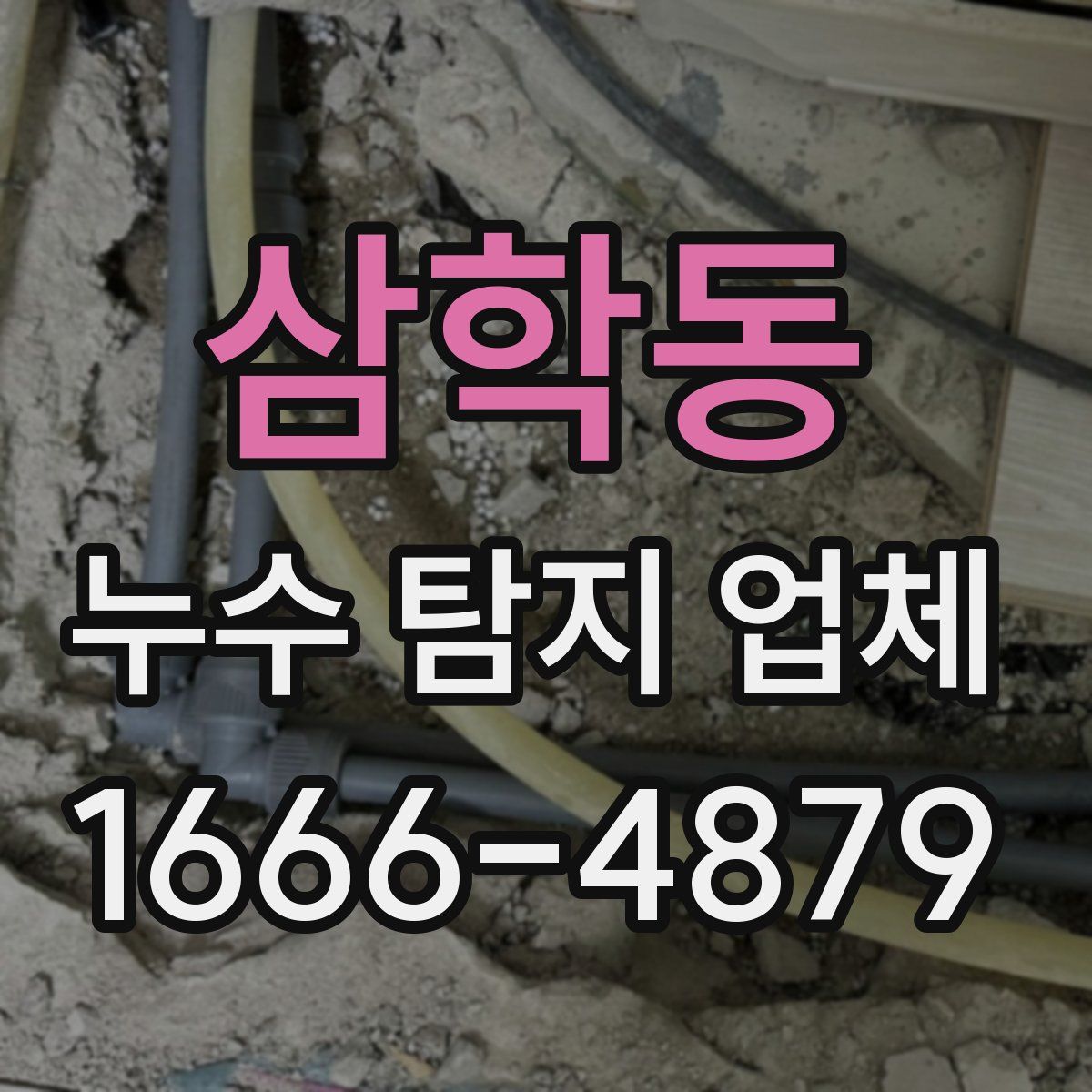 삼학동 누수 탐지 업체