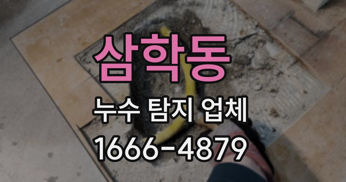 삼학동 누수 탐지 업체