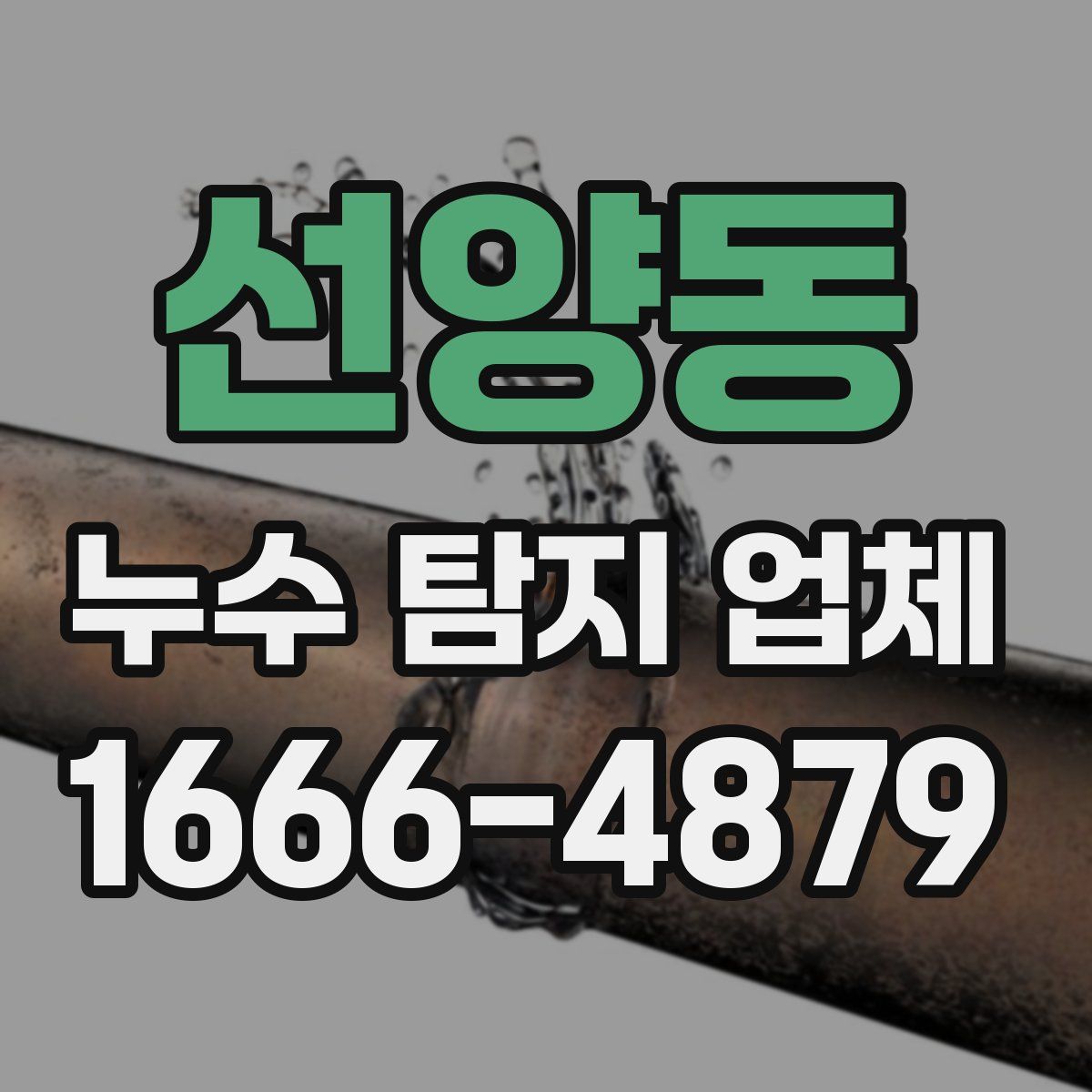 선양동 누수 탐지 업체