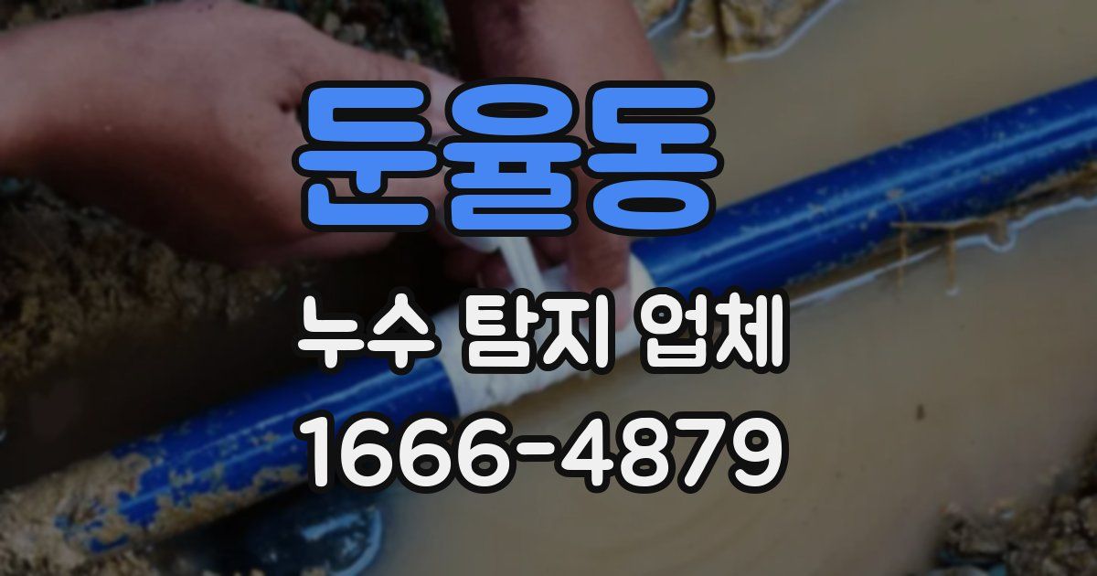 둔율동 누수 탐지 업체