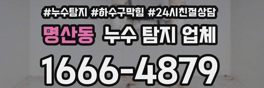 명산동 누수 탐지 업체