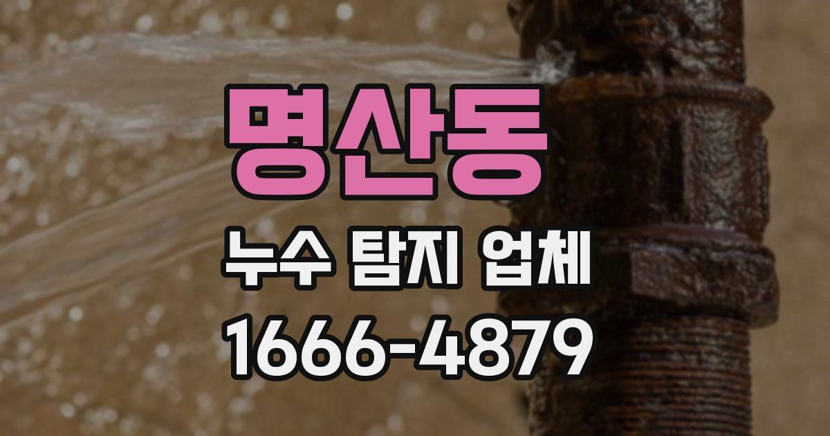 명산동 누수 탐지 업체