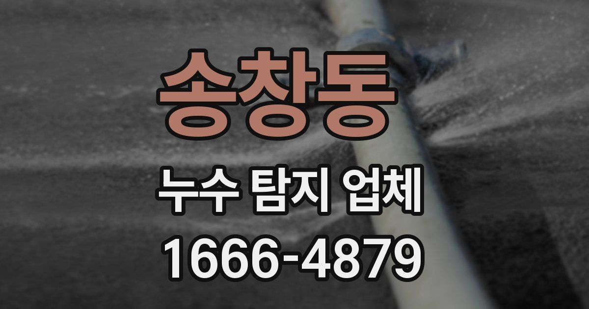 송창동 누수 탐지 업체