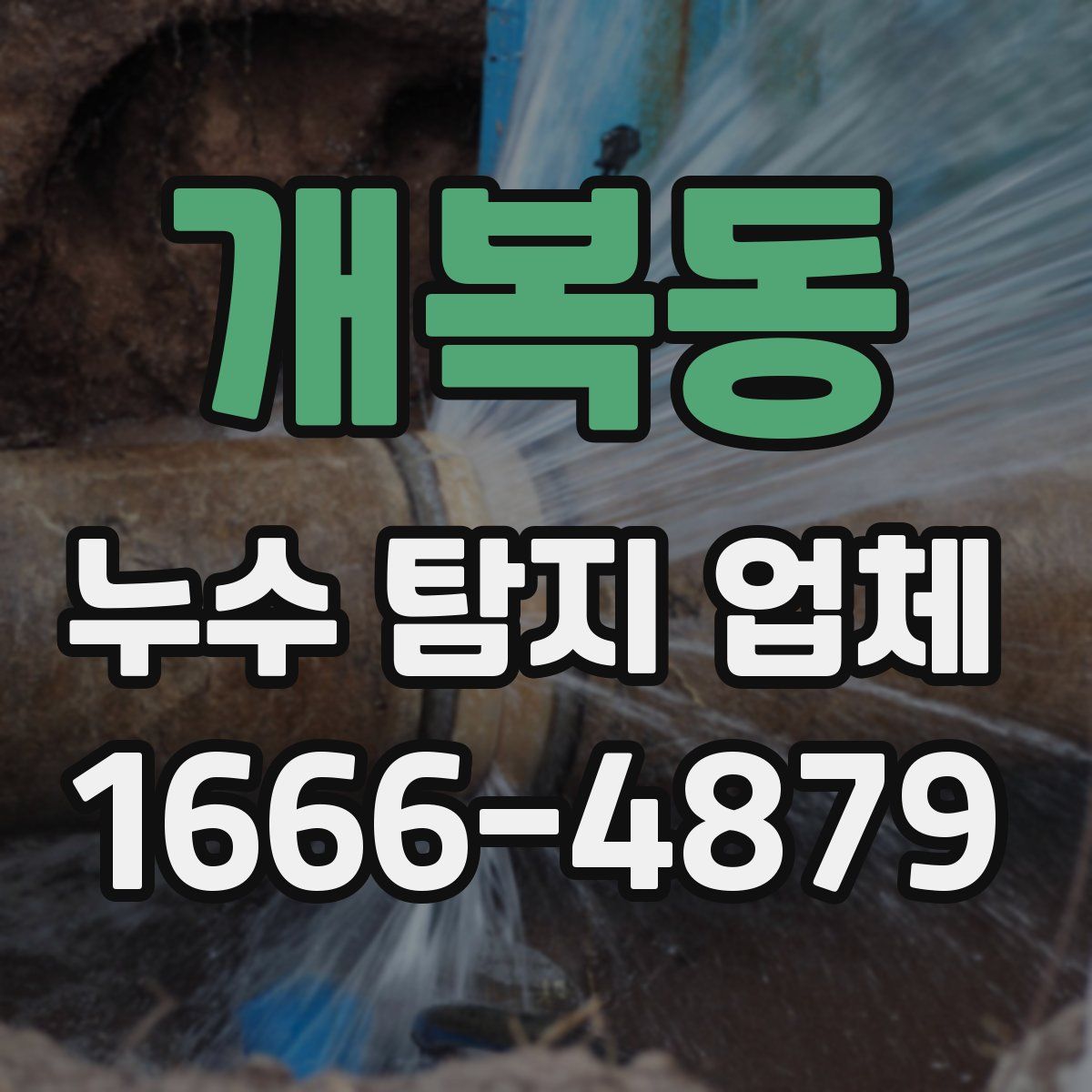 개복동 누수 탐지 업체