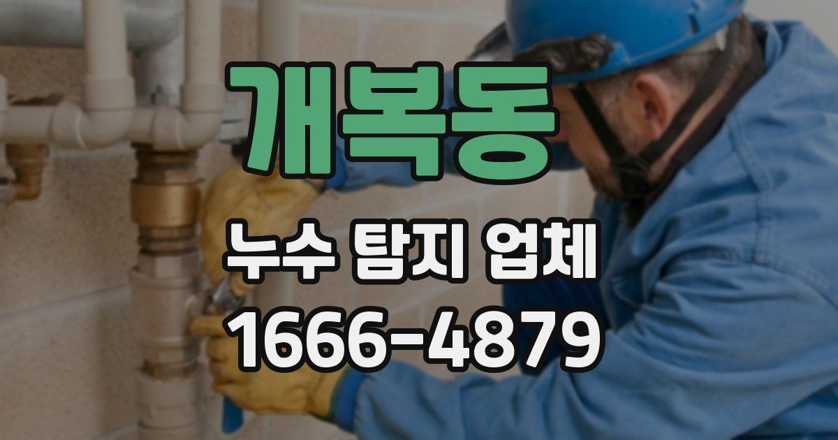 개복동 누수 탐지 업체