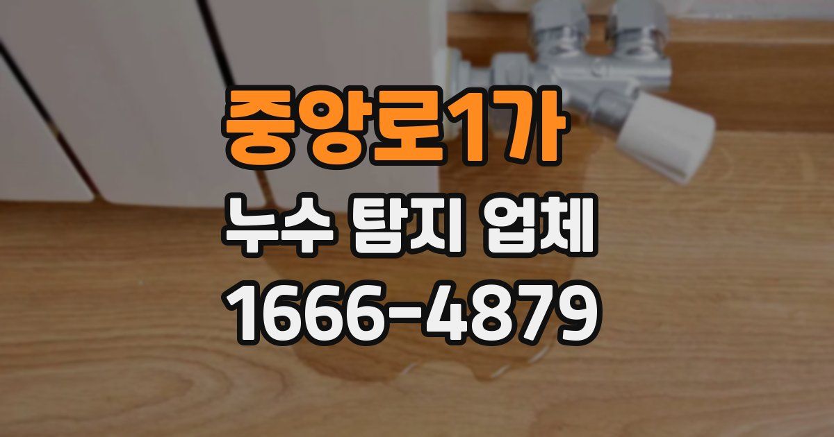 중앙로1가 누수 탐지 업체