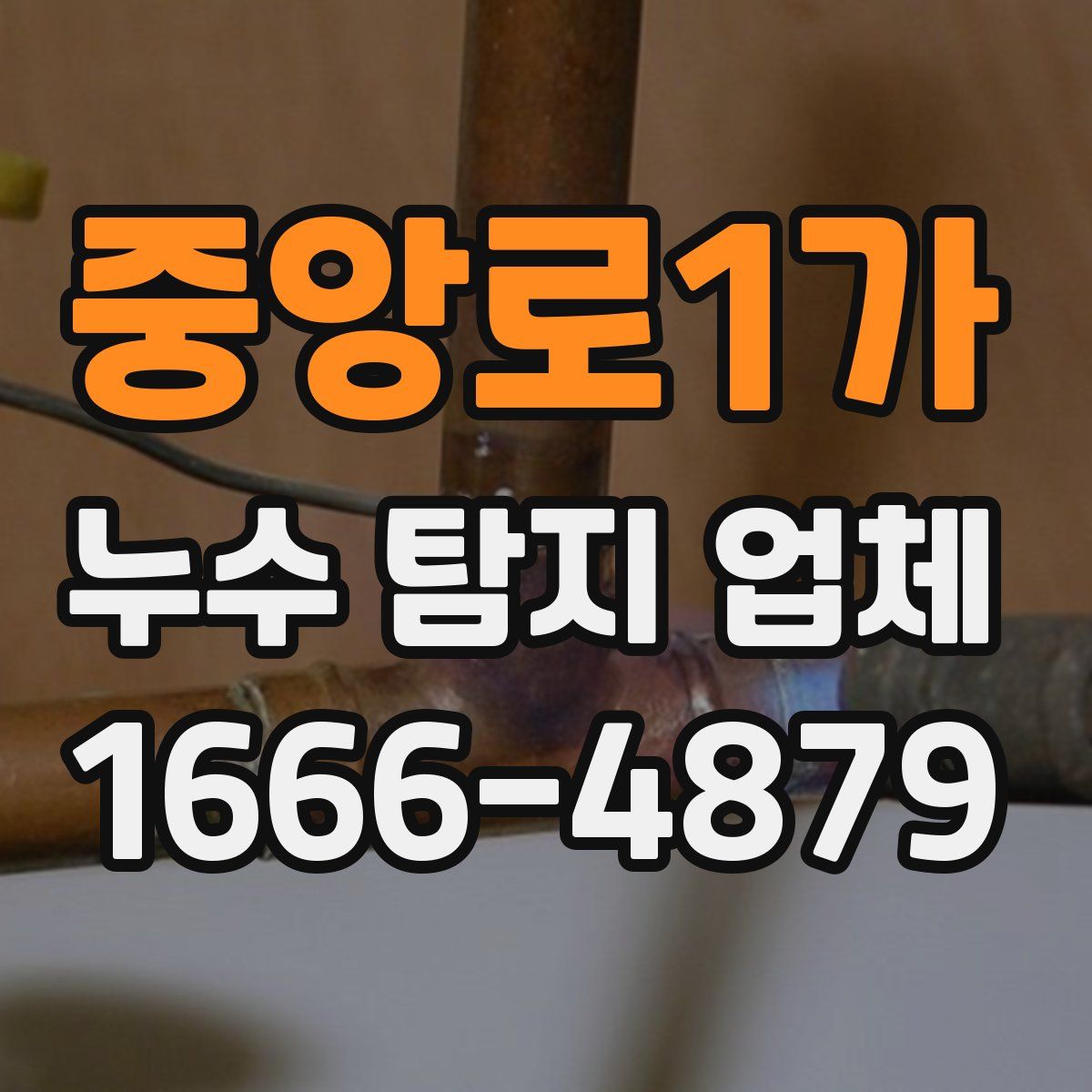 중앙로1가 누수 탐지 업체