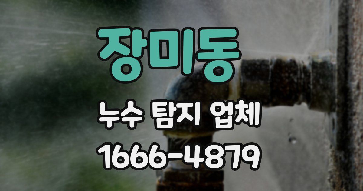 장미동 누수 탐지 업체