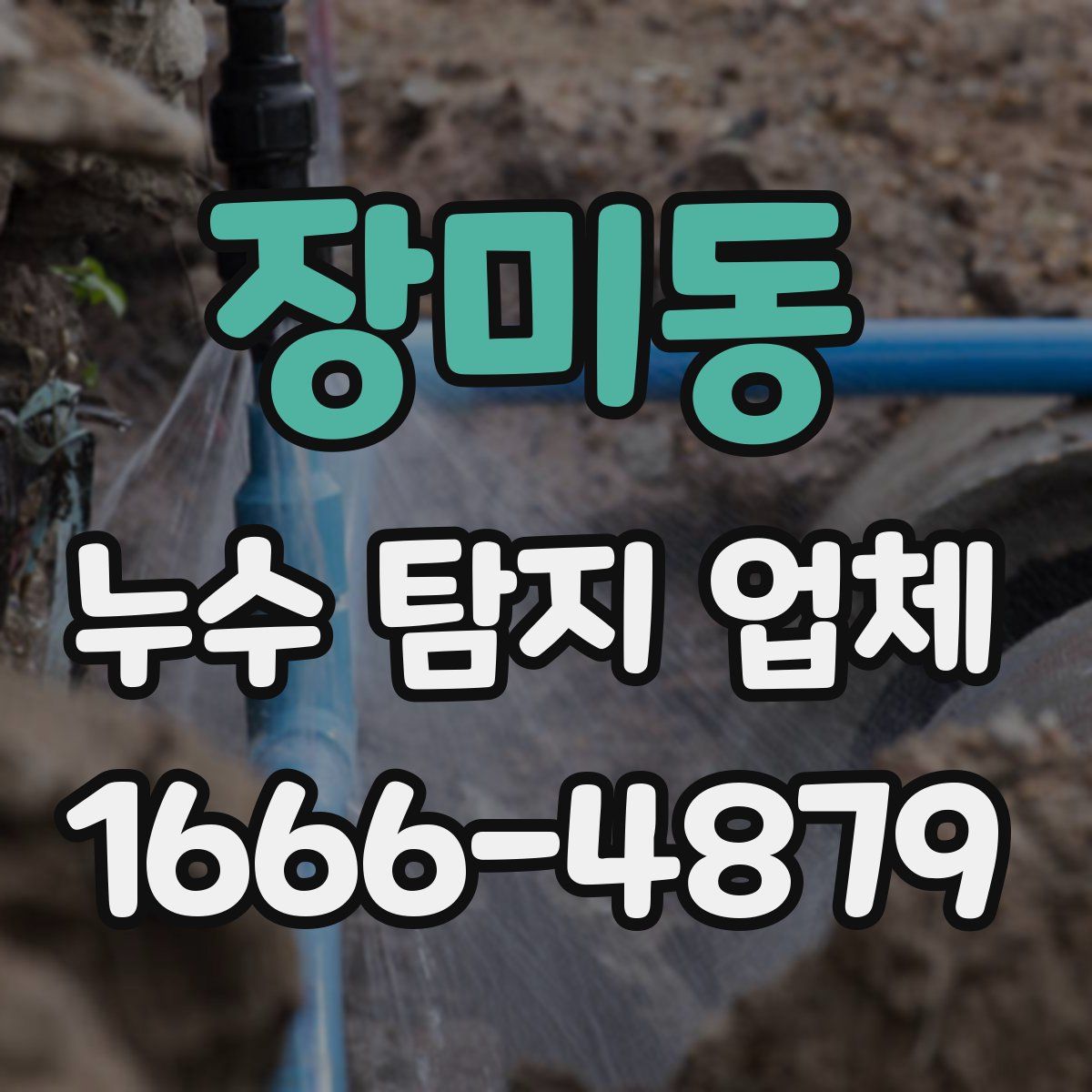 장미동 누수 탐지 업체
