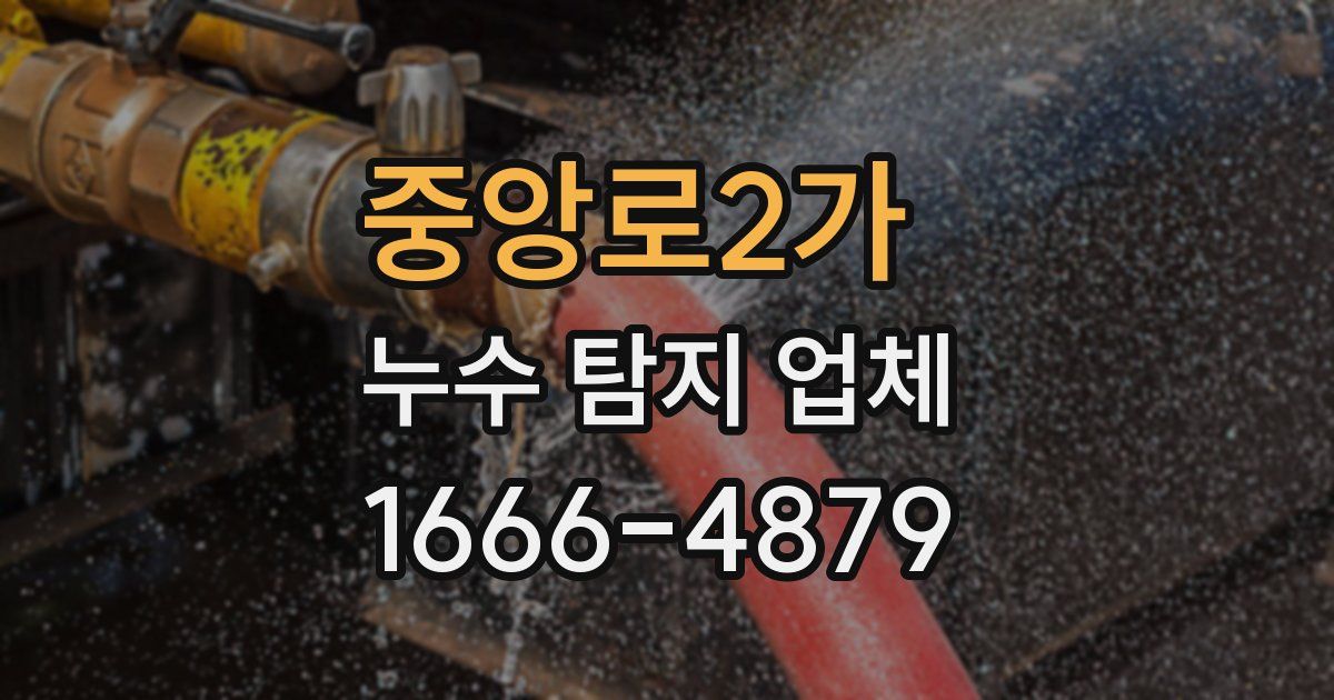 중앙로2가 누수 탐지 업체