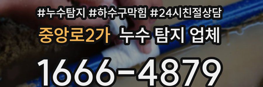 중앙로2가 누수 탐지 업체