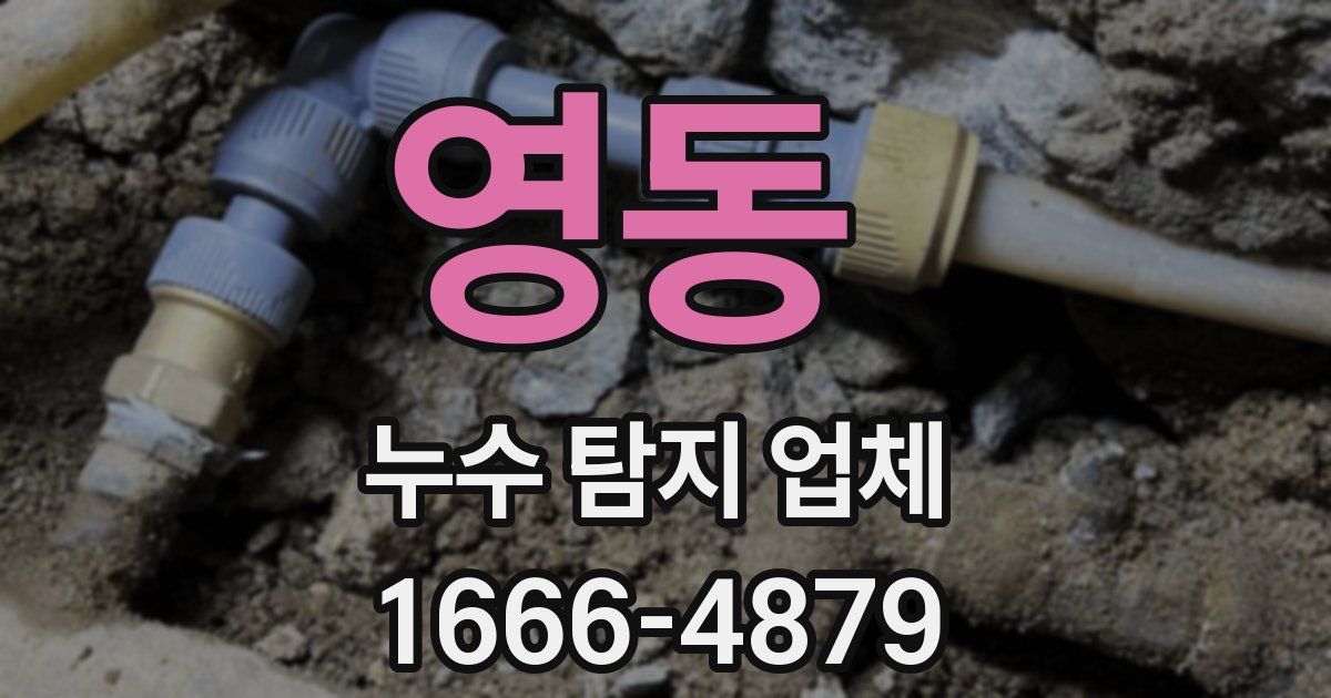 영동 누수 탐지 업체