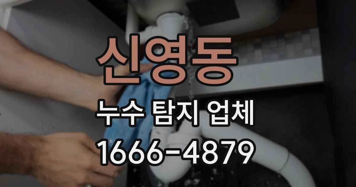 신영동 누수 탐지 업체