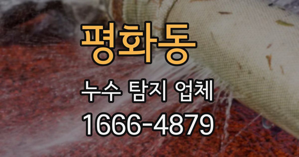 평화동 누수 탐지 업체