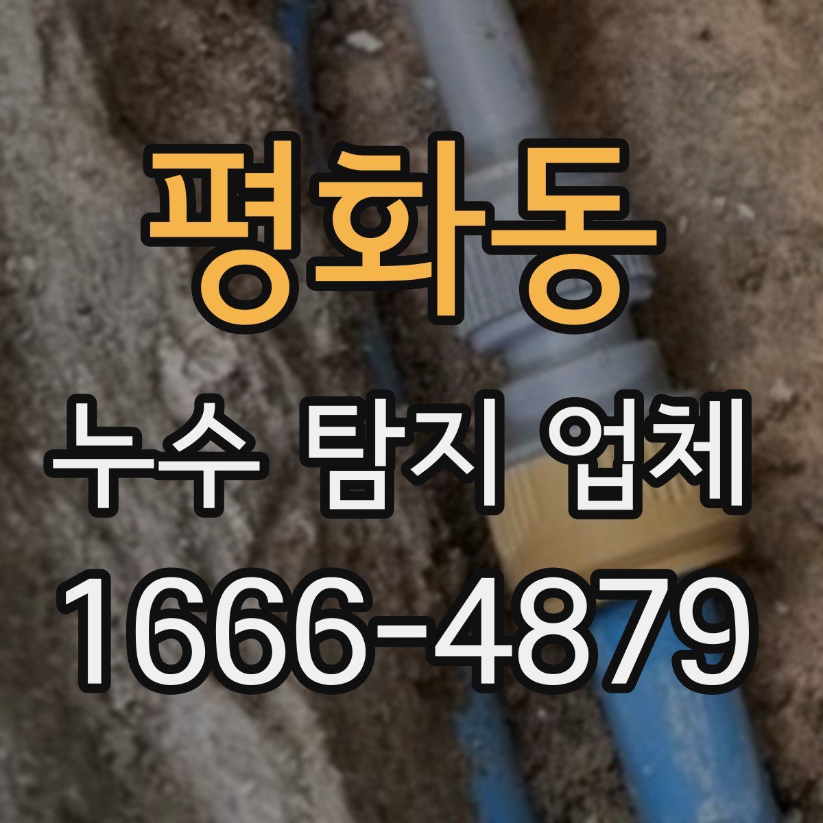 평화동 누수 탐지 업체