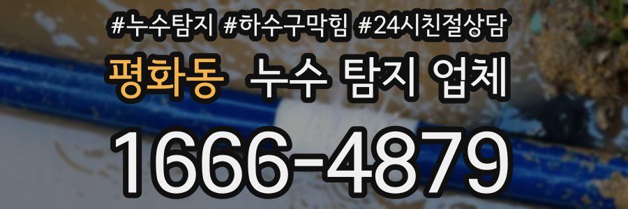 평화동 누수 탐지 업체