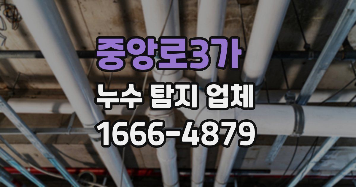중앙로3가 누수 탐지 업체