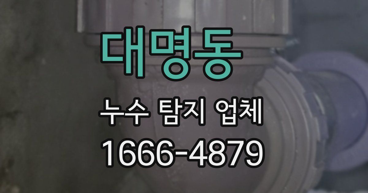 대명동 누수 탐지 업체