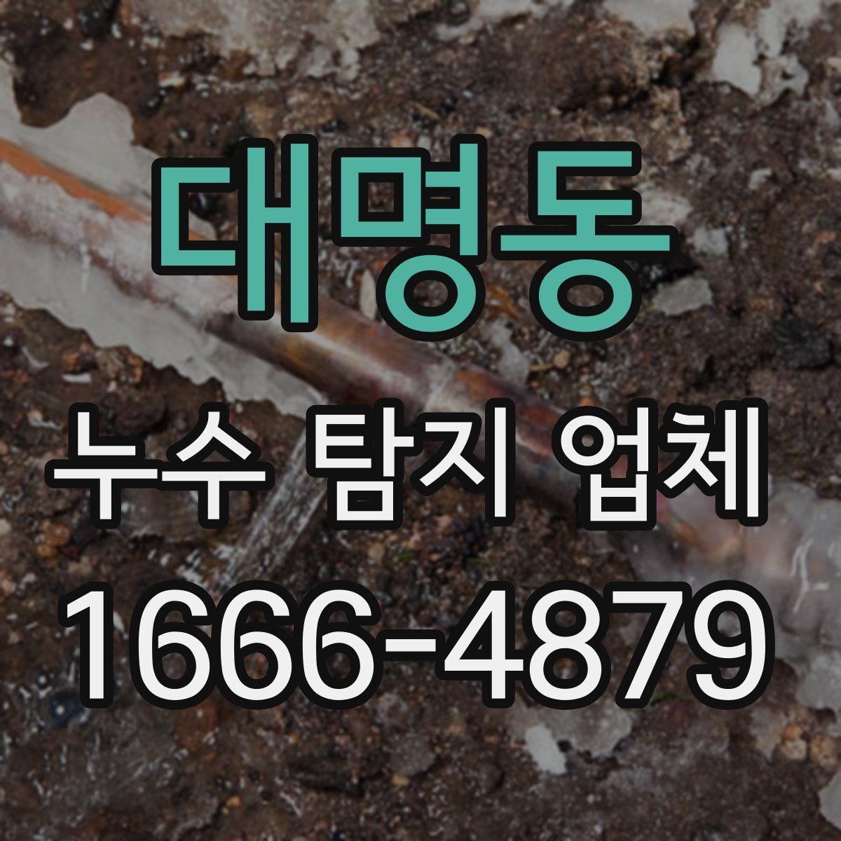 대명동 누수 탐지 업체