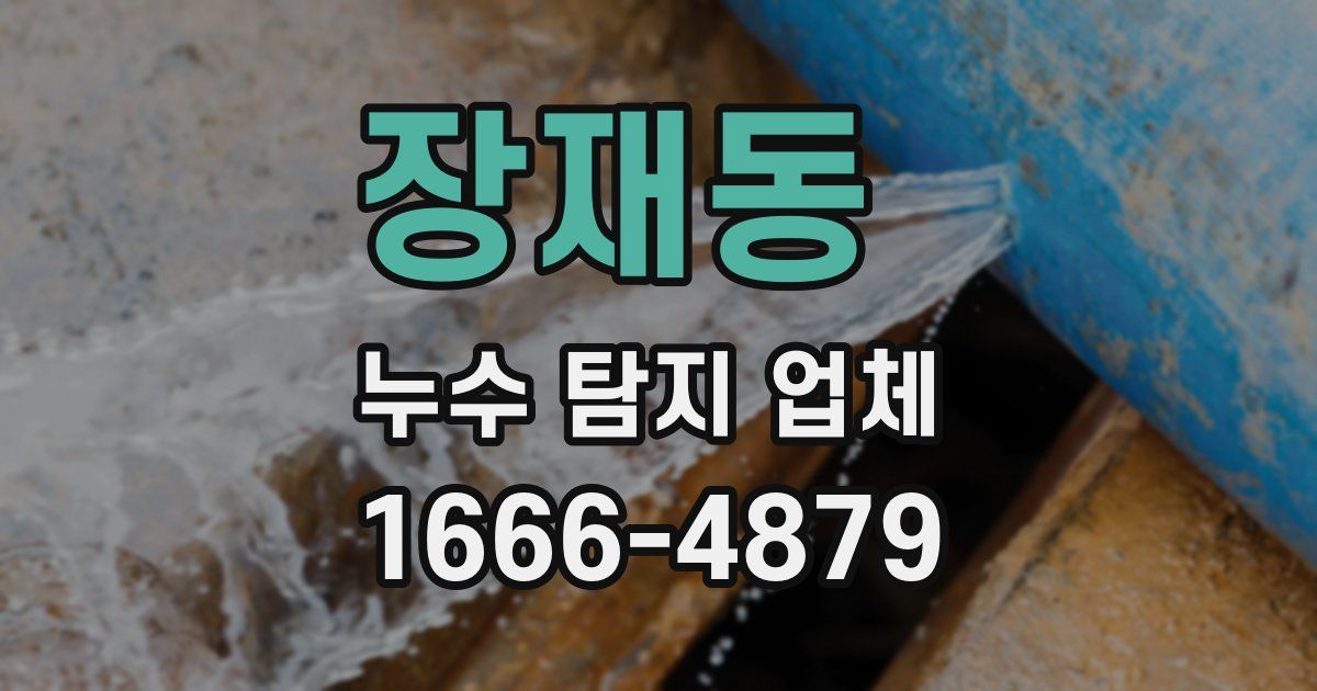 장재동 누수 탐지 업체