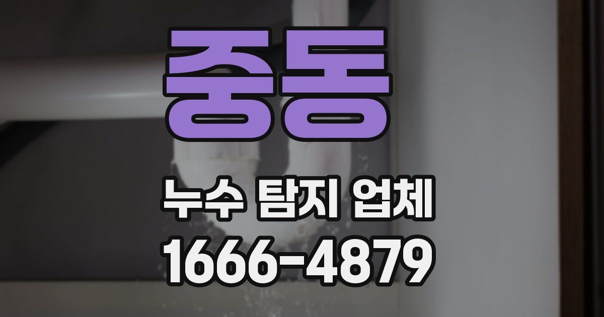 중동 누수 탐지 업체