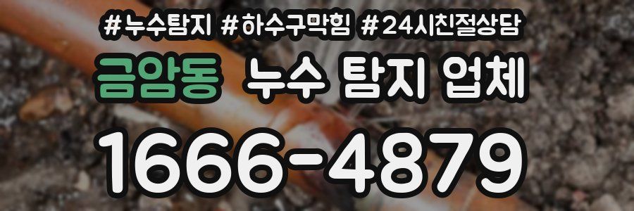 금암동 누수 탐지 업체
