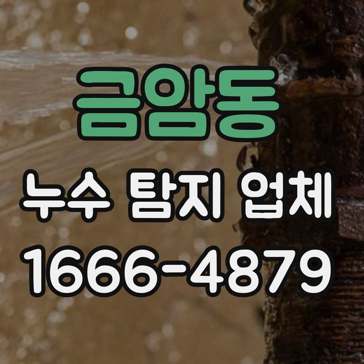 금암동 누수 탐지 업체