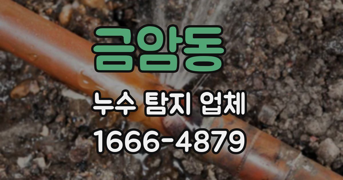 금암동 누수 탐지 업체