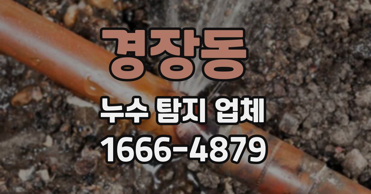 경장동 누수 탐지 업체