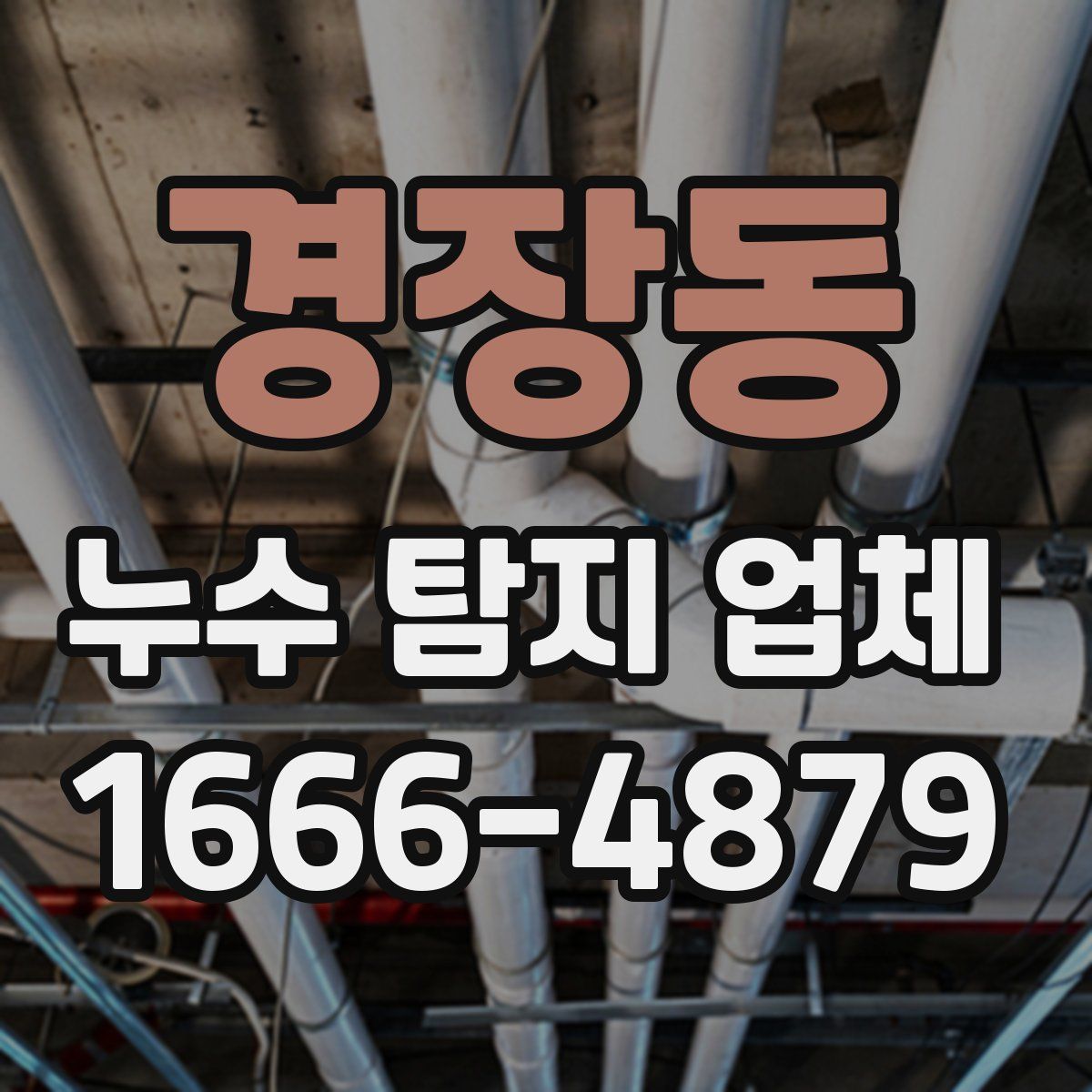 경장동 누수 탐지 업체