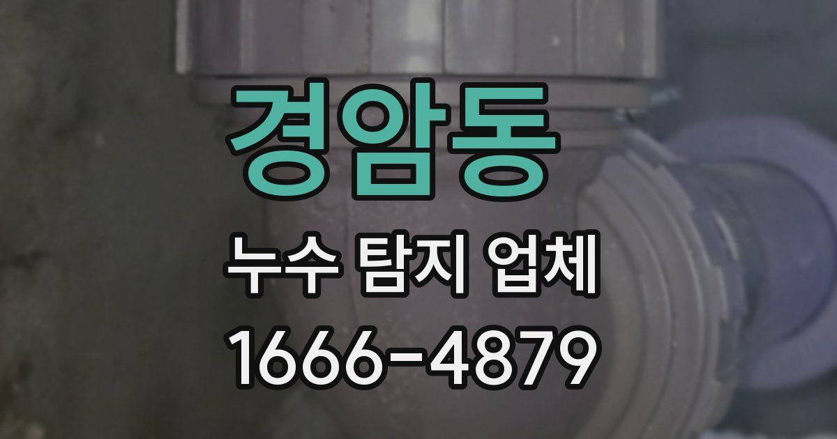 경암동 누수 탐지 업체