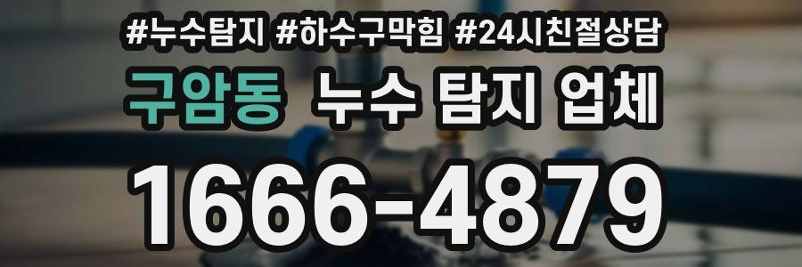 구암동 누수 탐지 업체