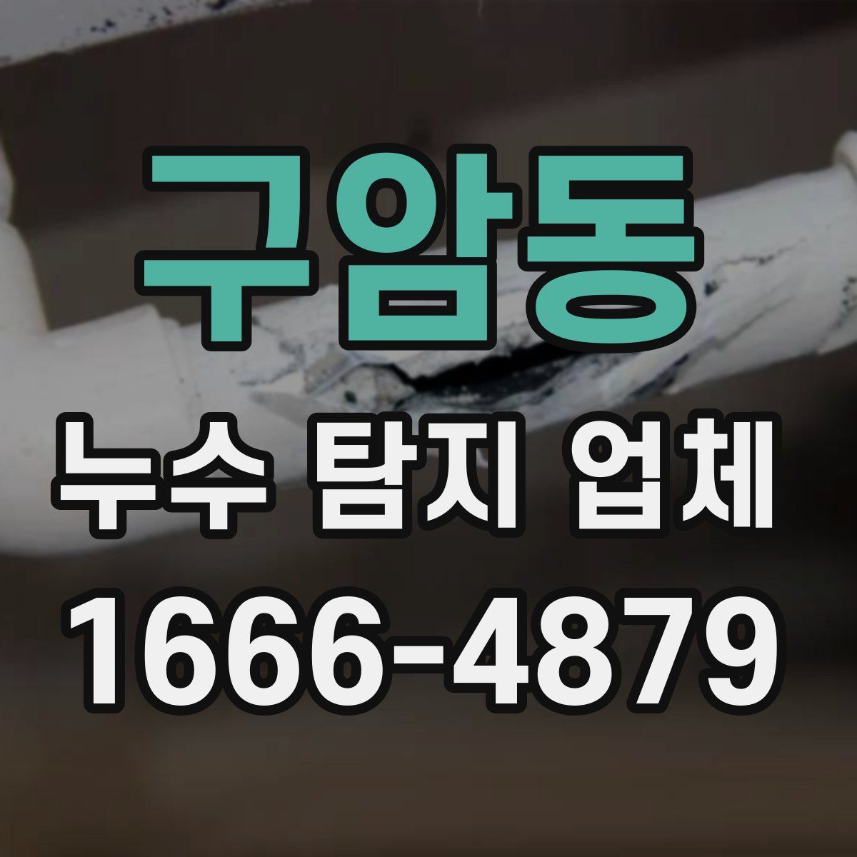 구암동 누수 탐지 업체