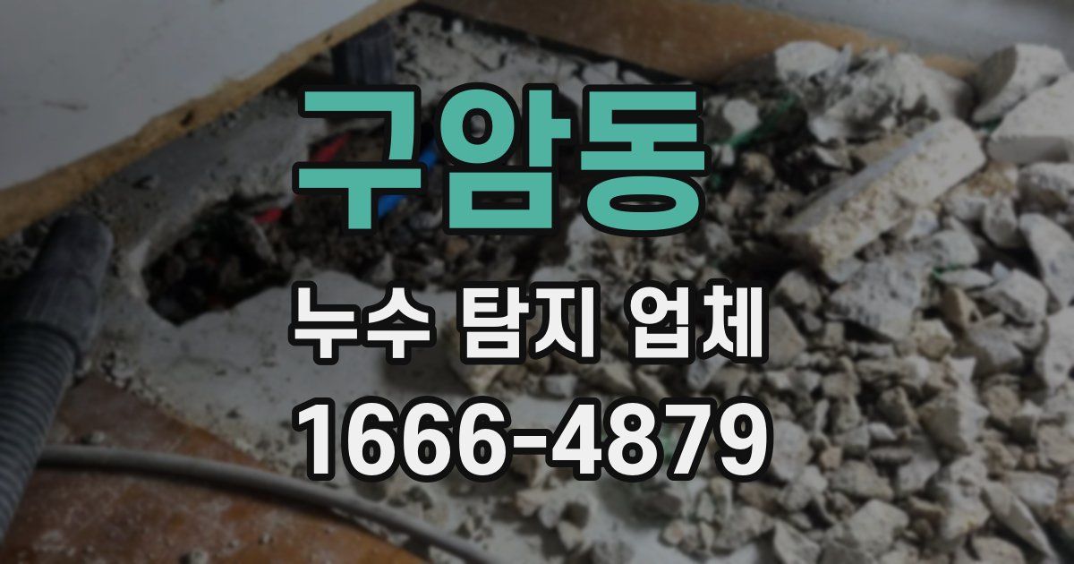 구암동 누수 탐지 업체