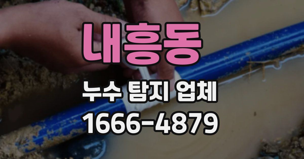 내흥동 누수 탐지 업체