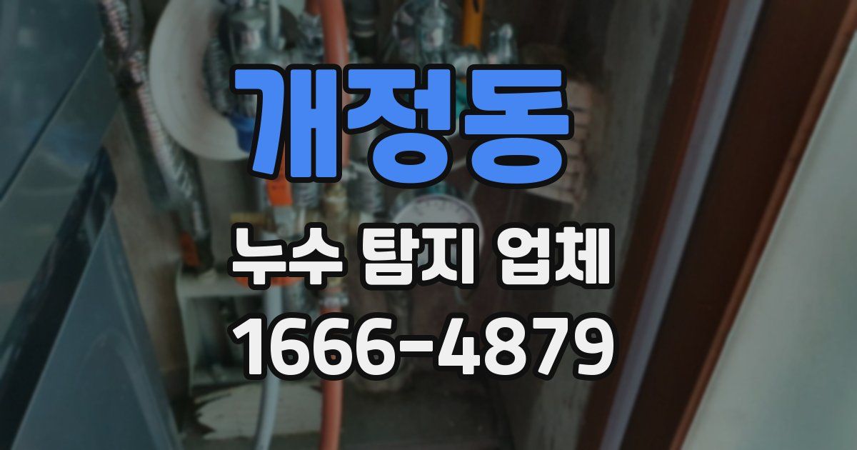 개정동 누수 탐지 업체