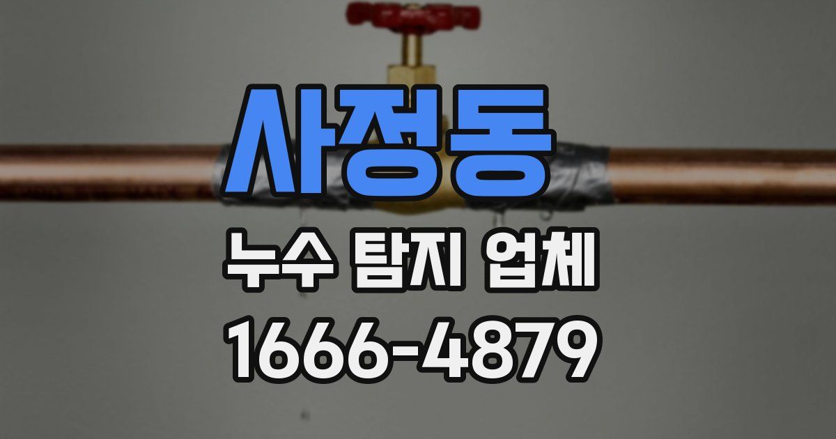 사정동 누수 탐지 업체