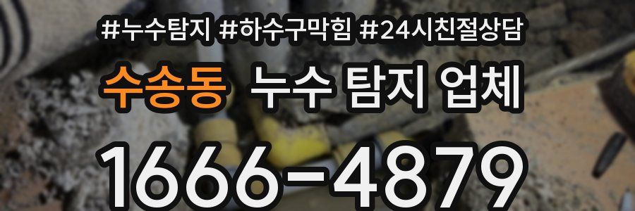 수송동 누수 탐지 업체