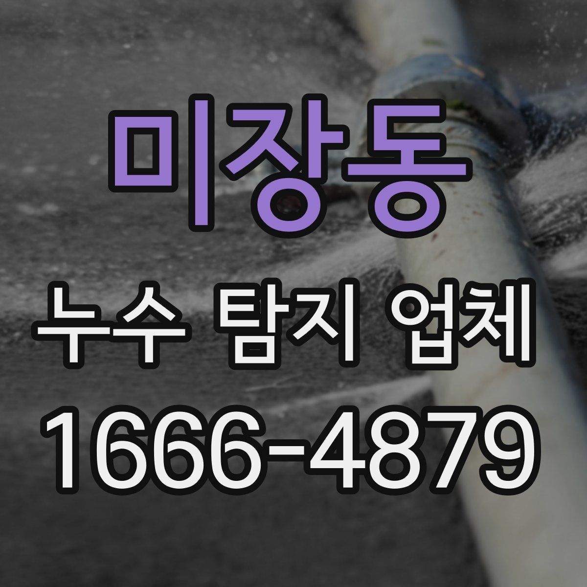 미장동 누수 탐지 업체