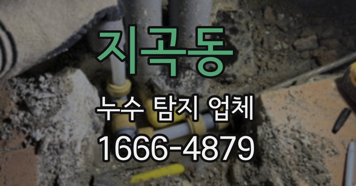 지곡동 누수 탐지 업체