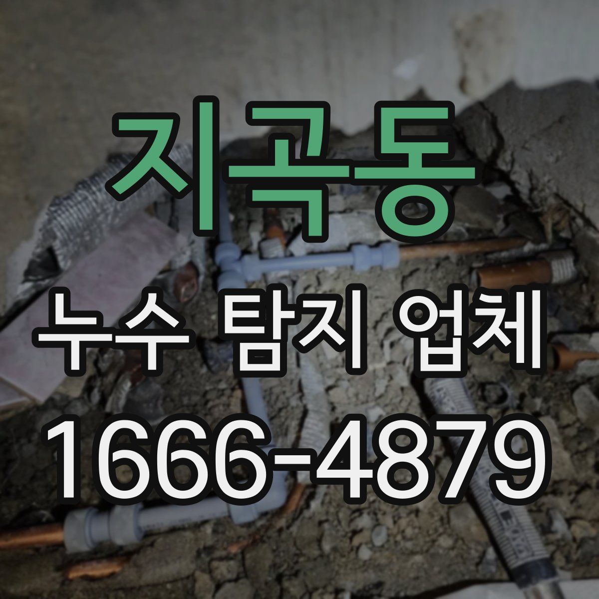 지곡동 누수 탐지 업체