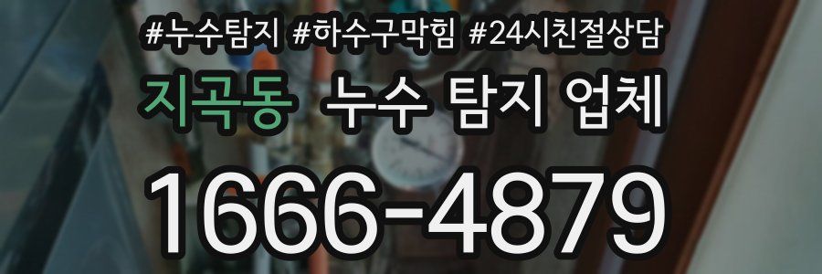 지곡동 누수 탐지 업체