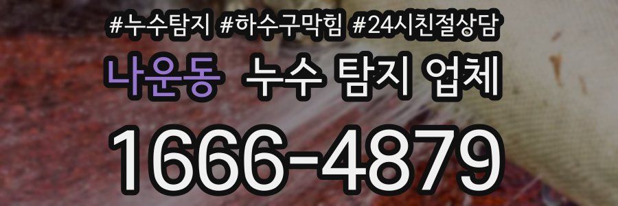 나운동 누수 탐지 업체