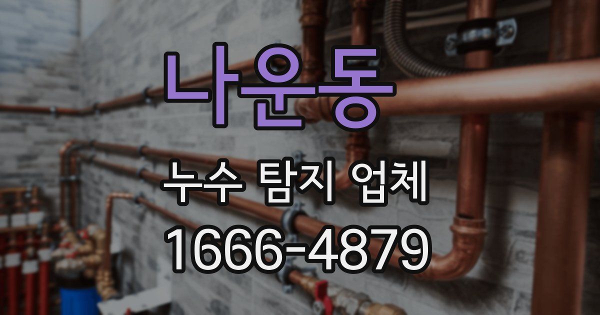 나운동 누수 탐지 업체