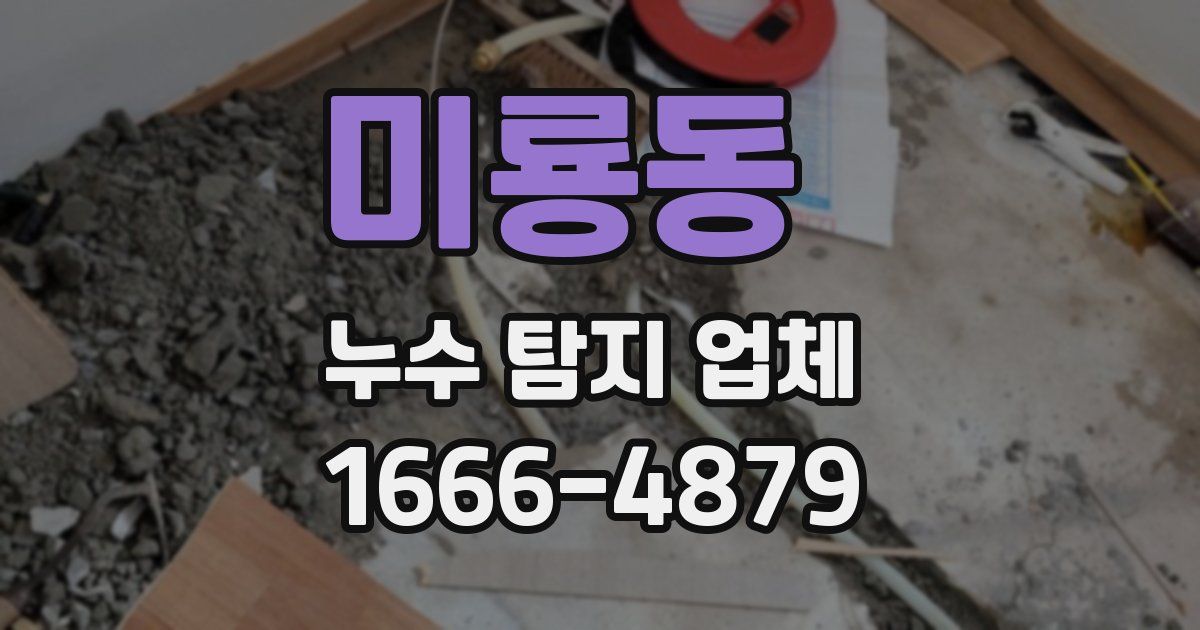 미룡동 누수 탐지 업체