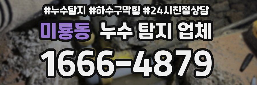 미룡동 누수 탐지 업체
