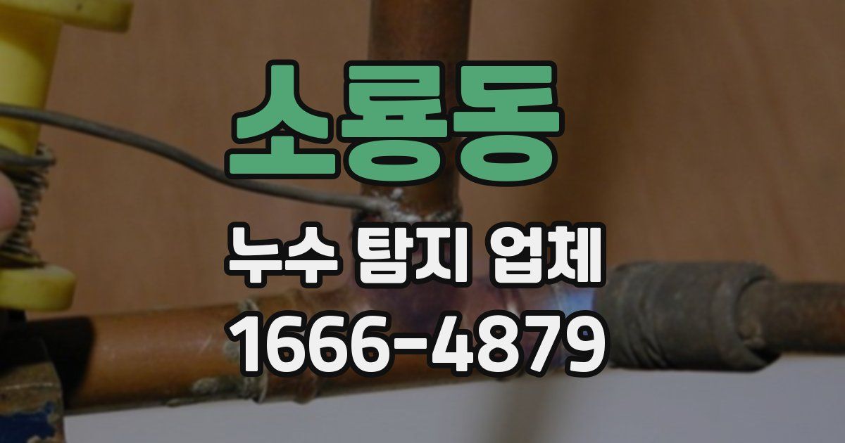 소룡동 누수 탐지 업체