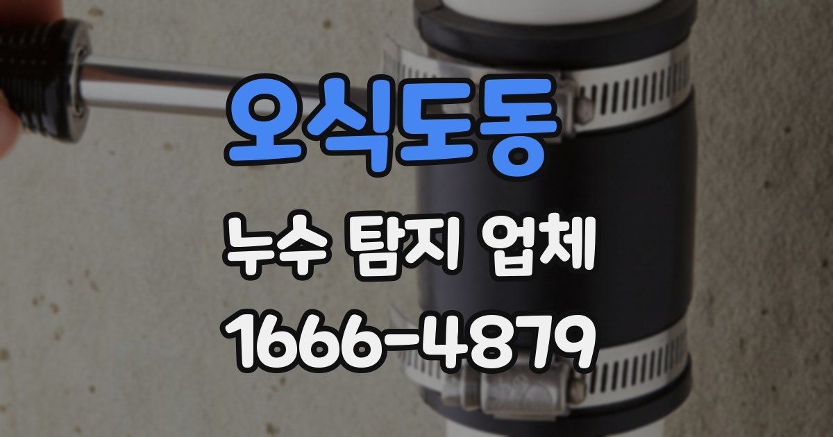 오식도동 누수 탐지 업체